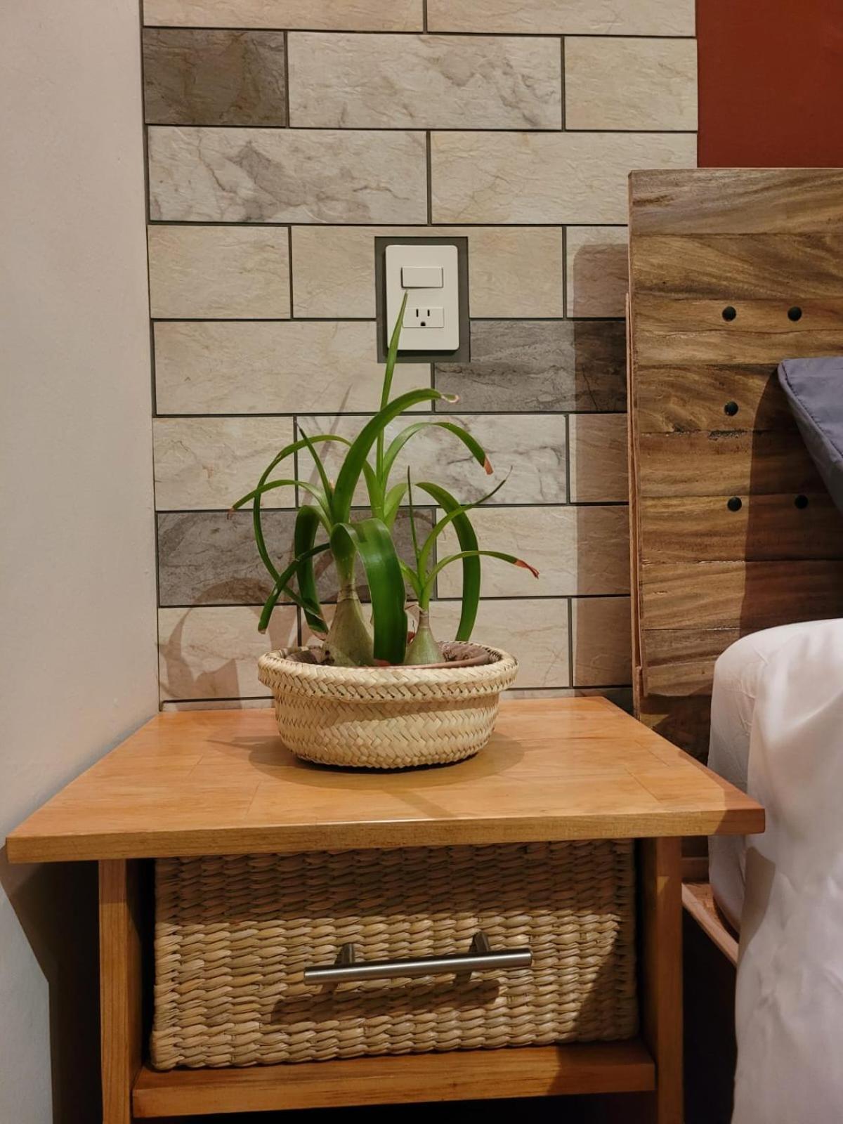 오아하카주 Casa B & L Centrico Departamento 아파트 외부 사진