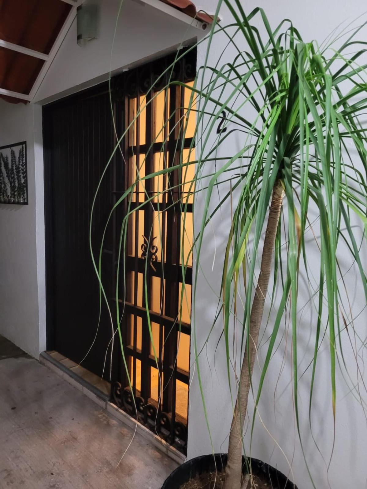 오아하카주 Casa B & L Centrico Departamento 아파트 외부 사진